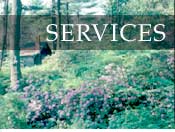 Services